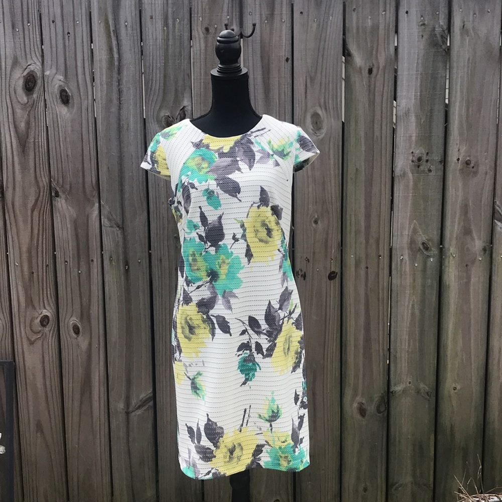NWT - Madison Leigh White Floral Dress - Size 6 - Picture 1 of 7